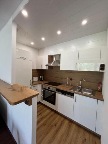 Apartment Elisabeth in Obertraun, Österreich