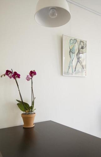 Tweede Laurierdwarsstraat Apartment, Amsterdam (fotografie 7)