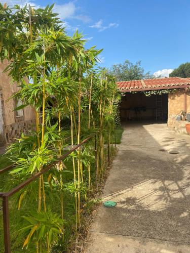 La Lechería de Daniela (La Lecheria de Daniela) in Manganeses de la Lampreana