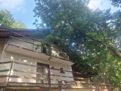 Belgrade Sumski raj Lipovica 3-Star Single Room pool