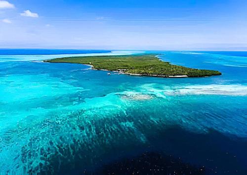Castaway Blue Hole Long Caye - image 5