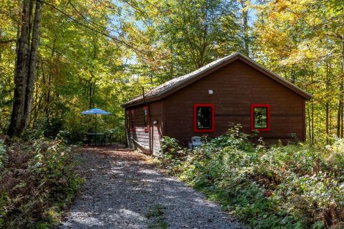 Charming Cabin in the Trees for a Getaway near Hanover, New Hampshire