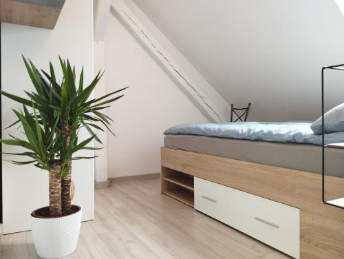 Villa Vip Apartament Pokoje