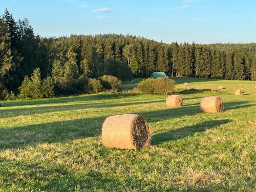 Ferienwohnung Hagert - Ankommen und Wohlfühlen (Ferienwohnung Hagert - Ankommen und Wohlfuhlen) in Eibenstock