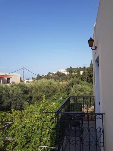 Panormos,Irenes studios
