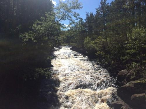Waterfront Cabin with Amazing Sleeping Loft on Pelican Lake, Minnesota in Orr (MN)