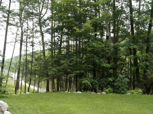 Creekside Log Cabin Rental with Kayaks in Saugerties, New York in 索格蒂斯