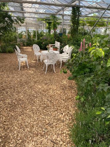 Luxe Glamping tent met sterrenhemel 2