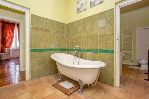 Chateau du Pegulier Location Integrale in Montaut (Midi-Pyrenees)