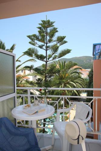Dolphin Hotel - image 4