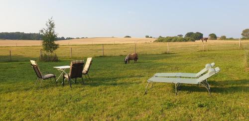 Der kleine Fuchshof mit Hund, Pferd und Huhn in Blekendorf