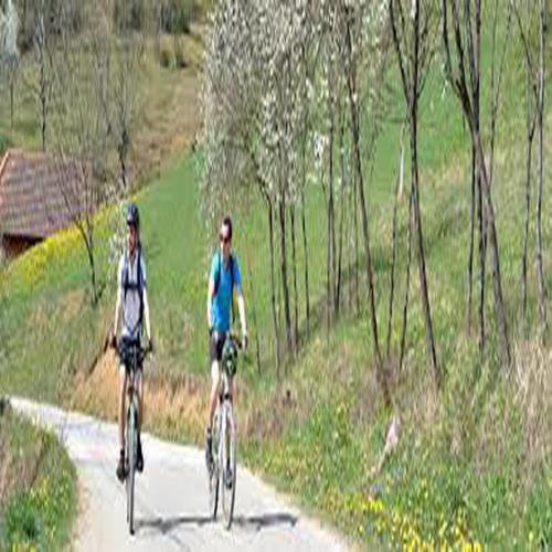 natoli, Căbeşti (zdjęcie 8)