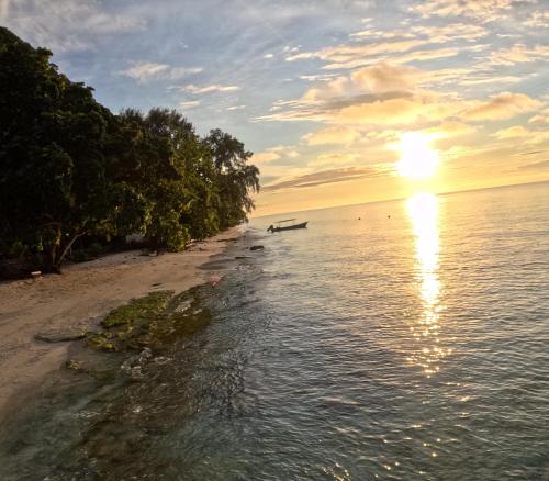 Amoryg Resort and Dive Raja Ampat - Tap to explore photos