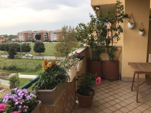 Casa Gorilla in Sabaudia