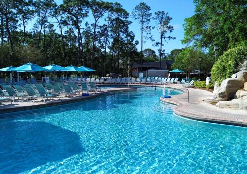 Piscina, Innisbrook Resort in Palm Harbor (FL)
