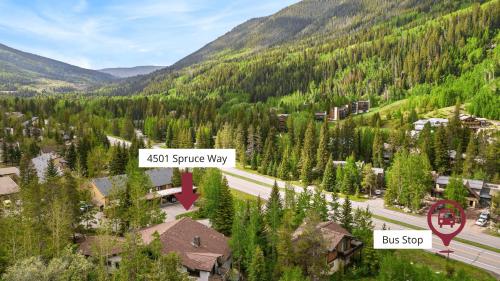 4501 Spruce Way in Mid Vail, USA