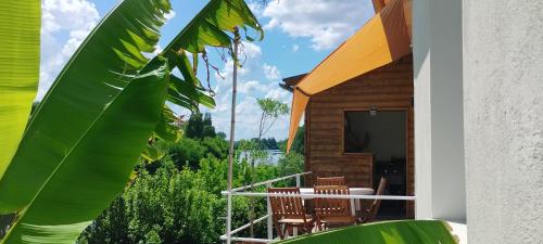 Maison bord rivière avec vue gîte à louer Lamothe-Montravel