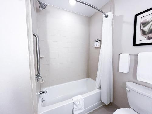 Holiday Inn Express & Suites Morton Peoria Area an IHG Hotel - image 10