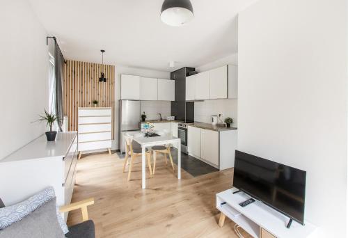 White Apartment With Terrace, Вроцлав