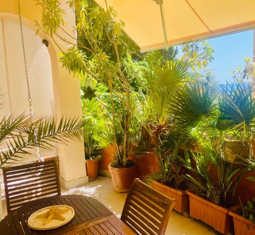 Nervi residenziale a due passi dal mare, Janov (fotografie 8)