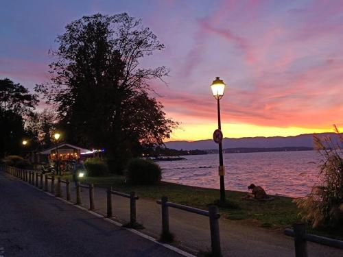 Appartement tout confort pieds dans l'eau avec vue imprenable , pause nature in Anthy-sur-Leman