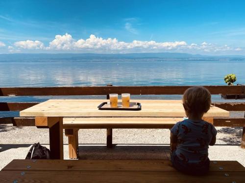 Appartement tout confort pieds dans l'eau avec vue imprenable , pause nature in Anthy-sur-Leman