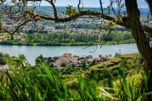Le Beau Rivage - Tap to explore photos