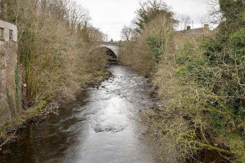 Bridgend Studio - Near Free Parking in 鄧伯蘭