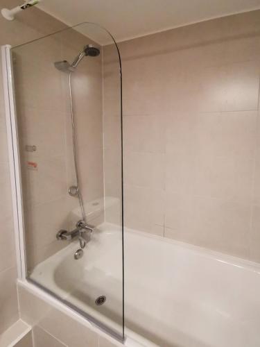 Apartment in Pucon with a view and access to the lake - image 2