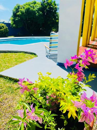 Kert, Villa Hanna in Crown Point