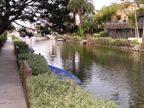 Venice Canals Contemporary, unique wildlife, amazing reviews, Los Angeles (fotografie 2)
