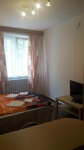 Judit Apartmanok - image 7