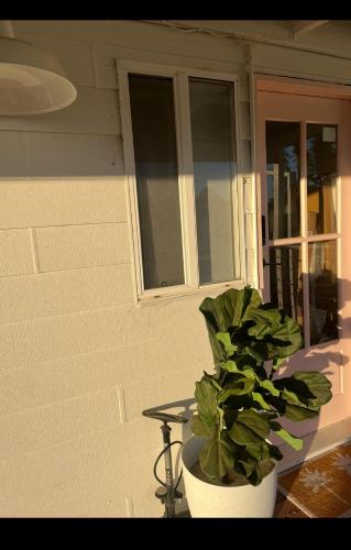 Dalton Farmstay in Strathmerton