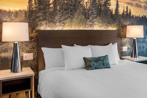 Cambria Hotel Shelby Township - Detroit Utica Room Type - King Suite - Non-Smoking