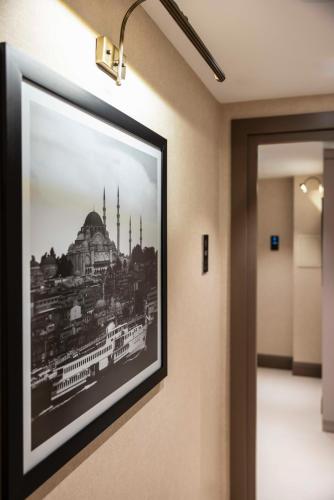 Emilion Hotel, Istanbul (photo 8)