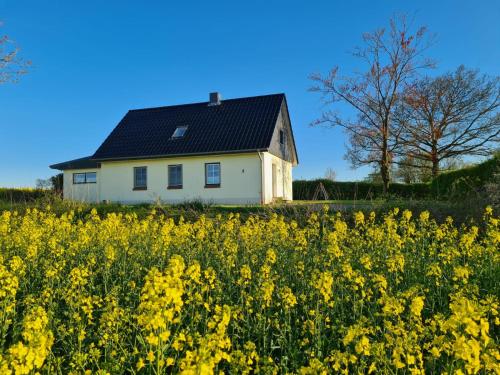Ferienhaus Loimoos in Struxdorf