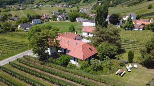 Kellerstöckl - Zur Weinrebe in Eisenberg an der Pinka, Österreich