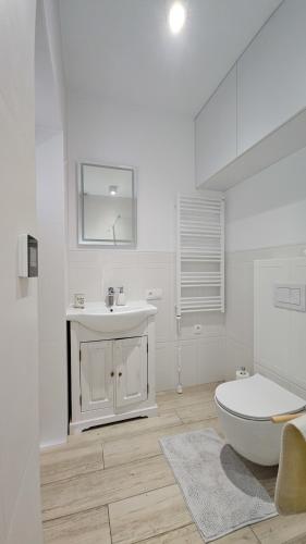 Aparts4U - Kras Resort Apartament C209 z prywatnym jacuzzi i tarasem, Szklarska Poręba (photo 9)