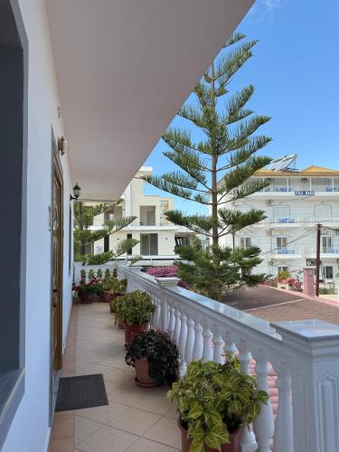 Garden Villa Veli - image 12