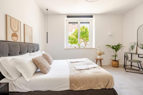 IVY - Royal in ลาติน่า