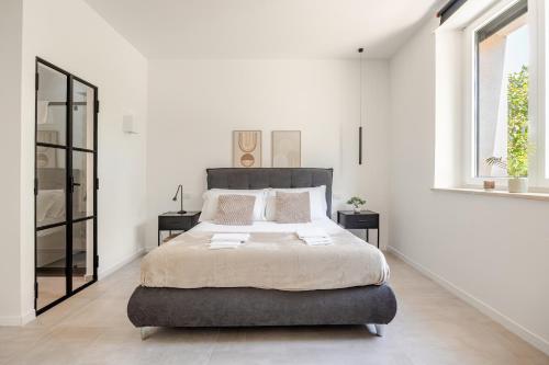 IVY - Royal in ลาติน่า