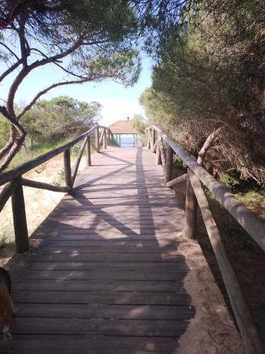 Atico Punta Candor Rota
