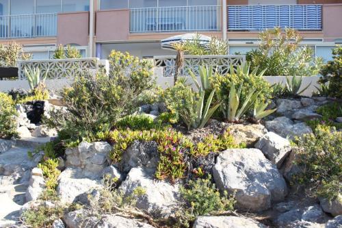 Appartement les pieds dans le sable - AY110-M04 - image 2