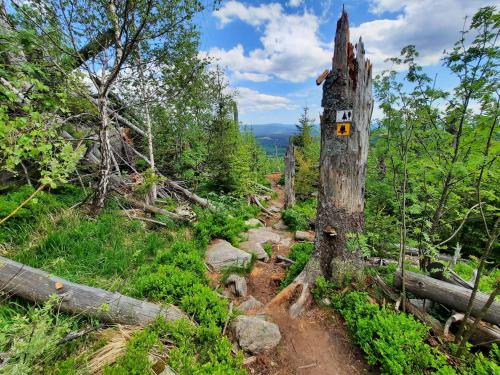 Buitenkant, Landhaus Wildfeuer in Kirchdorf i. Wald