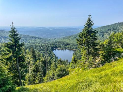 Buitenkant, Landhaus Wildfeuer in Kirchdorf i. Wald