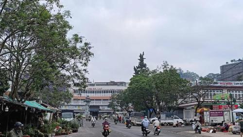 Tuyết Quỳnh Hotel Đà Lạt - 주변 환경
