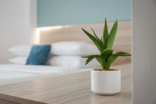 Sette Suites & Rooms - image 5