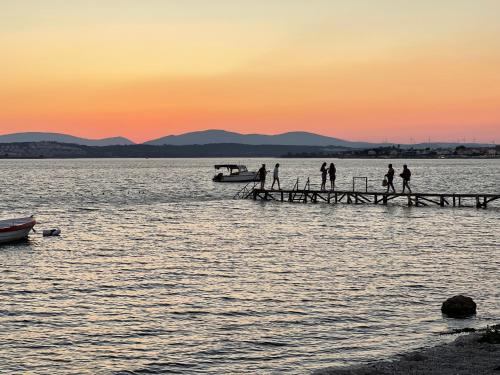 Teras, Seferihisar (photo 10)