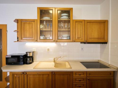 Studio Rosie-Dolní náměstí by Interhome (Studio Rosie-Dolni namesti by Interhome) in 羅基尼茨納德傑茨羅