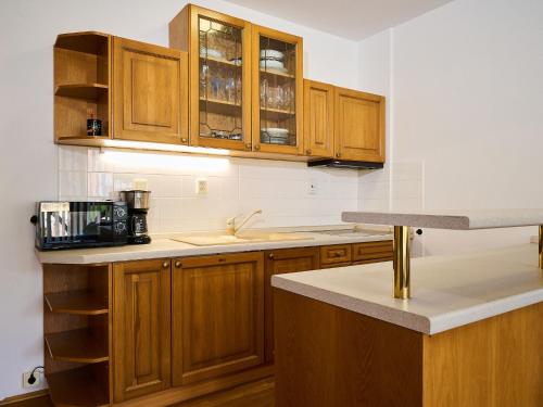 Studio Rosie-Dolní náměstí by Interhome (Studio Rosie-Dolni namesti by Interhome) in 羅基尼茨納德傑茨羅